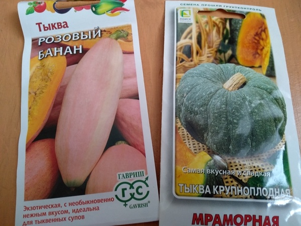 Новинки этого сезона - семена тыквы