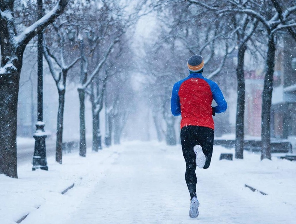 Изображение создано GigaChat