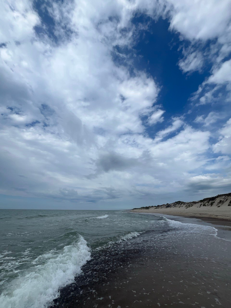 Куршская коса 