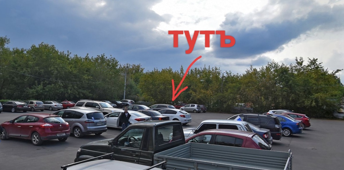 Парковался ближе к кустам. Чтобы было своё, личное пространство.*