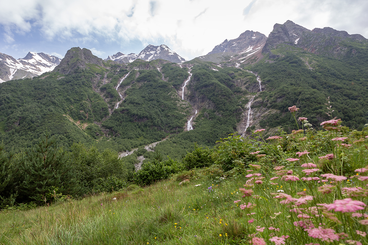 Водопад «Три сестры». Розовые цветы — тмин обыкновенный 
