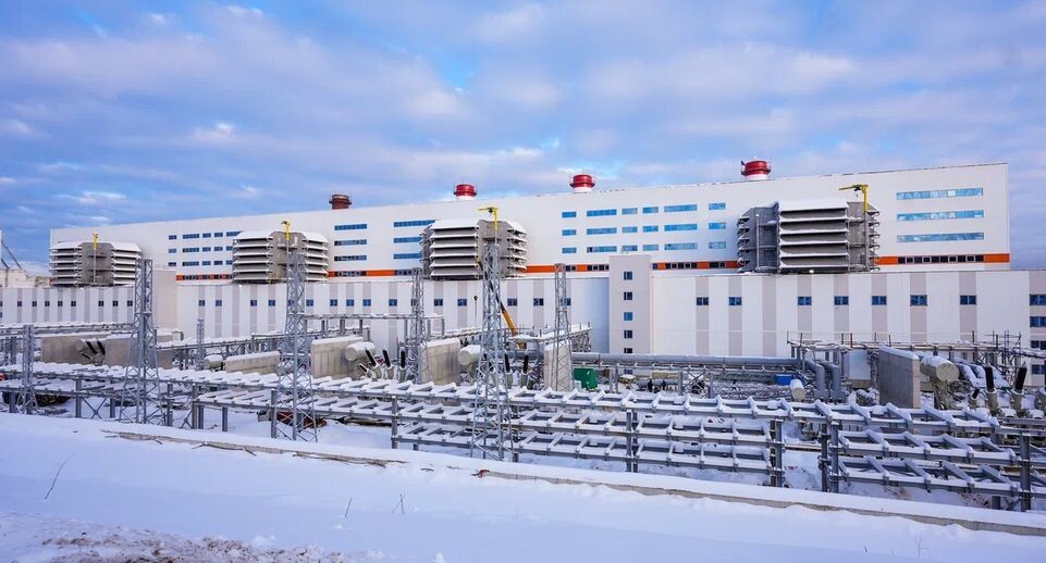    пресс-служба губернатора и правительства Московской области/Александра Степанова