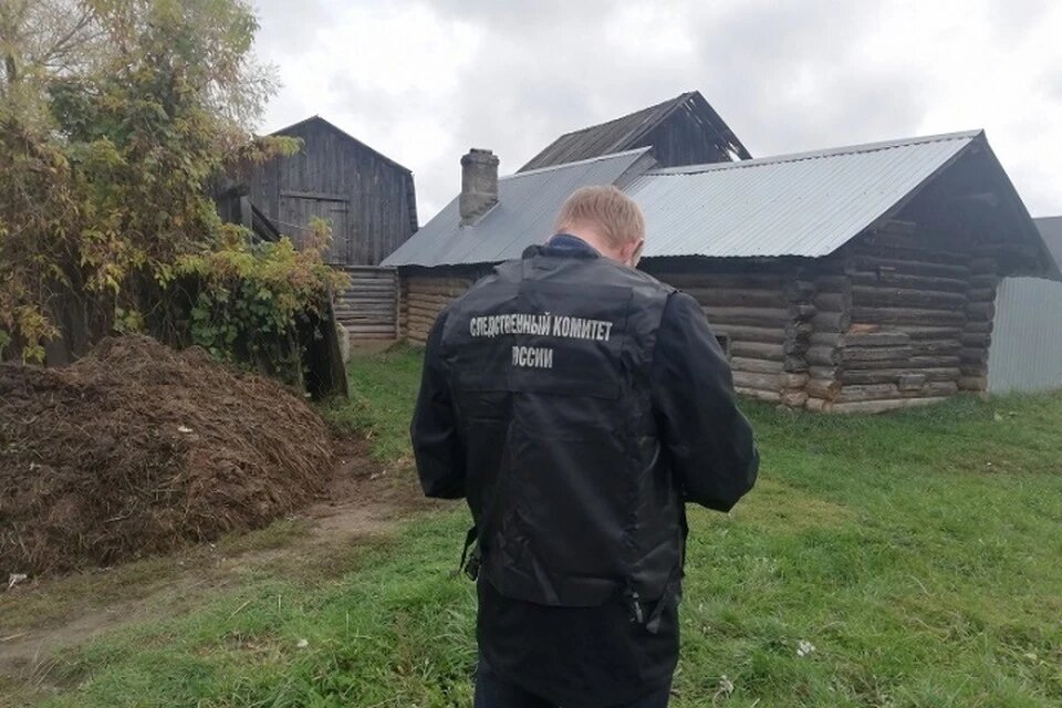 Следователи установили, что нападение на женщину произошло, когда она зашла в сарай покормить домашнюю птицу. Фото: СК