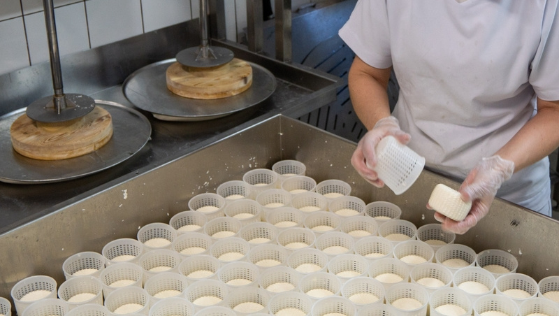    На Ставрополье насчитывается порядка 40 предприятий, производящих молочные продукты Фото: ИА «Победа26»