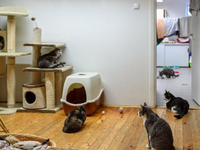    Фото: 123RF.com/zmeika