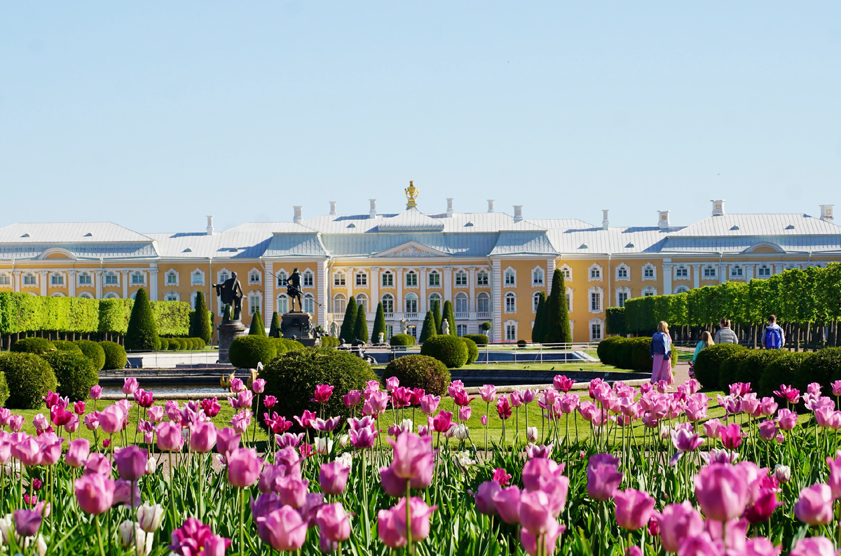 Фото автора.