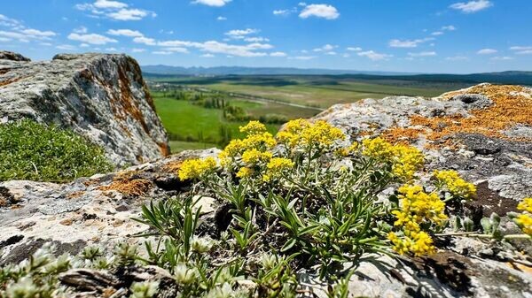    © Telegram Михаил Развожаев