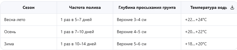 Правильный режим полива для пальм