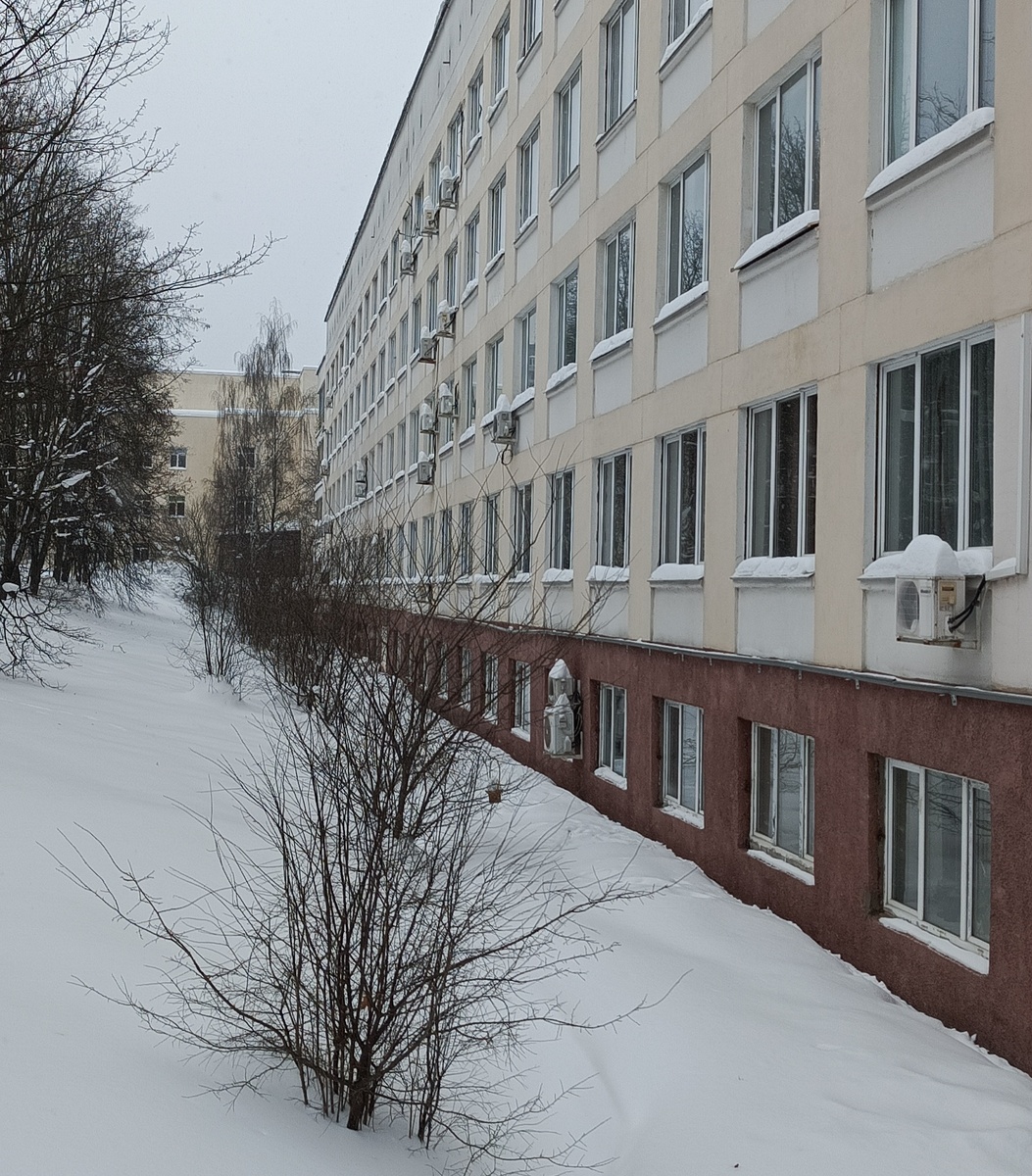 Фото автора статьи