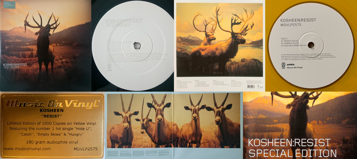 Разные релизы альбома Resist от Kosheen