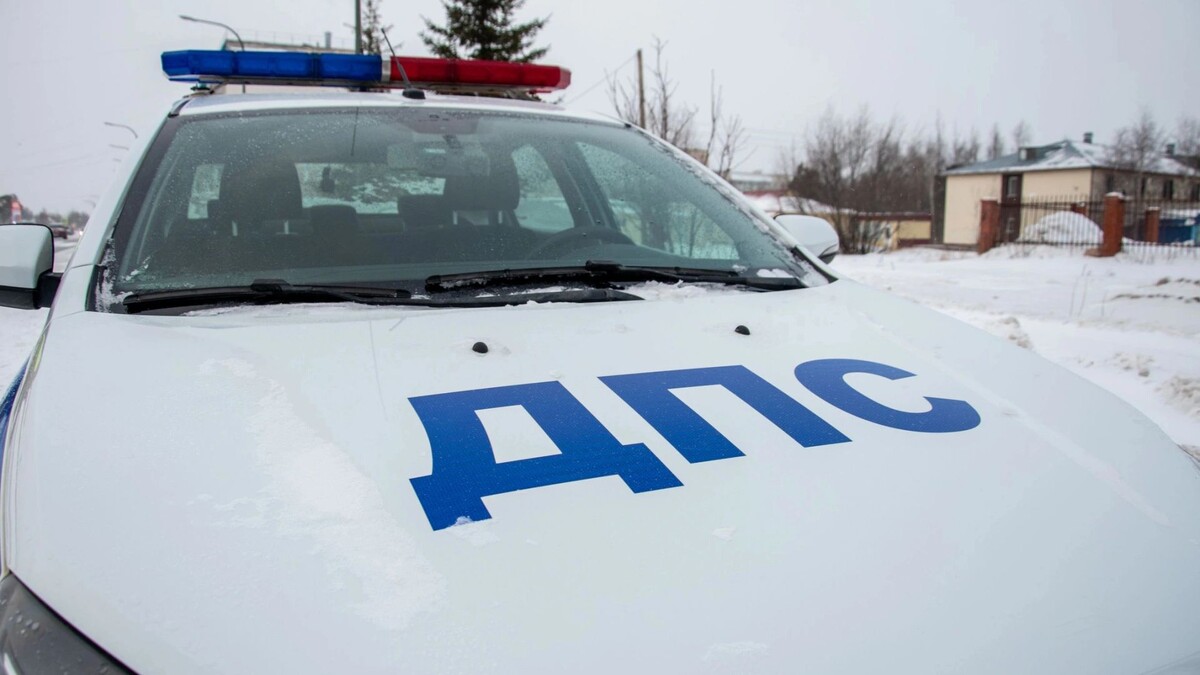    Фото: Юрий Здебский / «Ямал-Медиа»