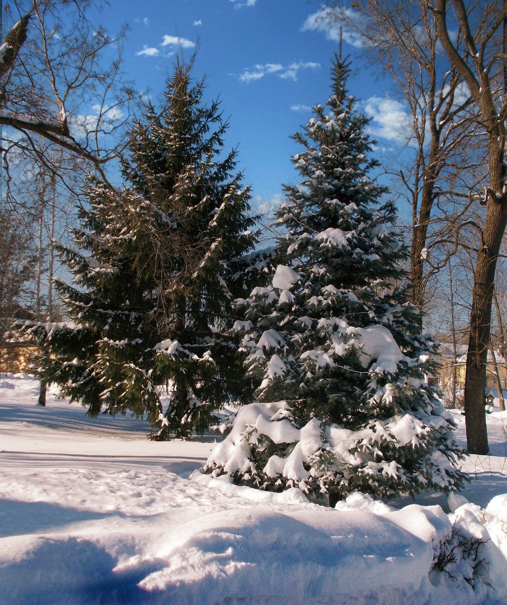 Двое в парке.