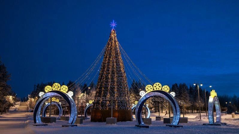    Фото: Юрий Здебский / «Ямал-Медиа»