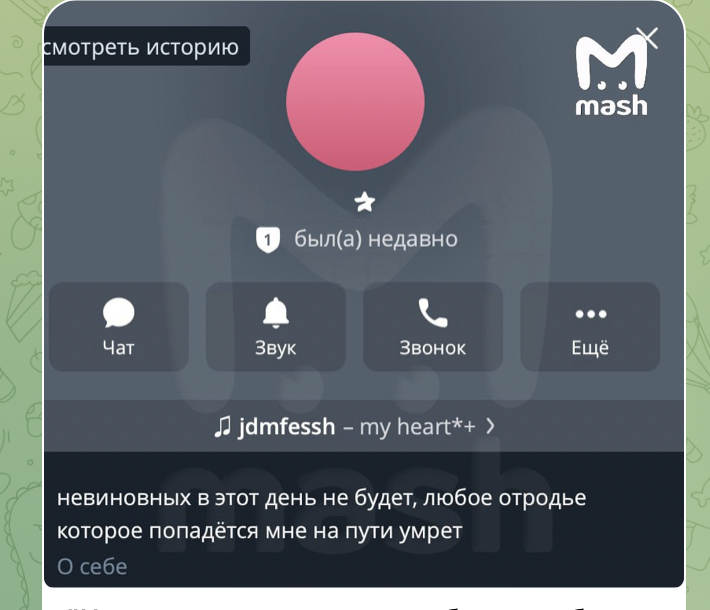    Фото: Скриншот из Телеграм-канала "Mash"