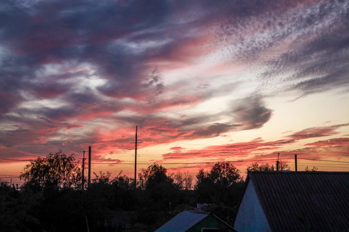    Фото: ТРК «Таврия»