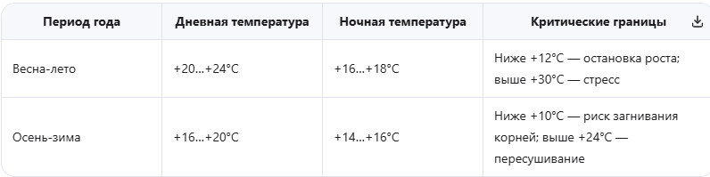 Оптимальные температуры для аспарагуса