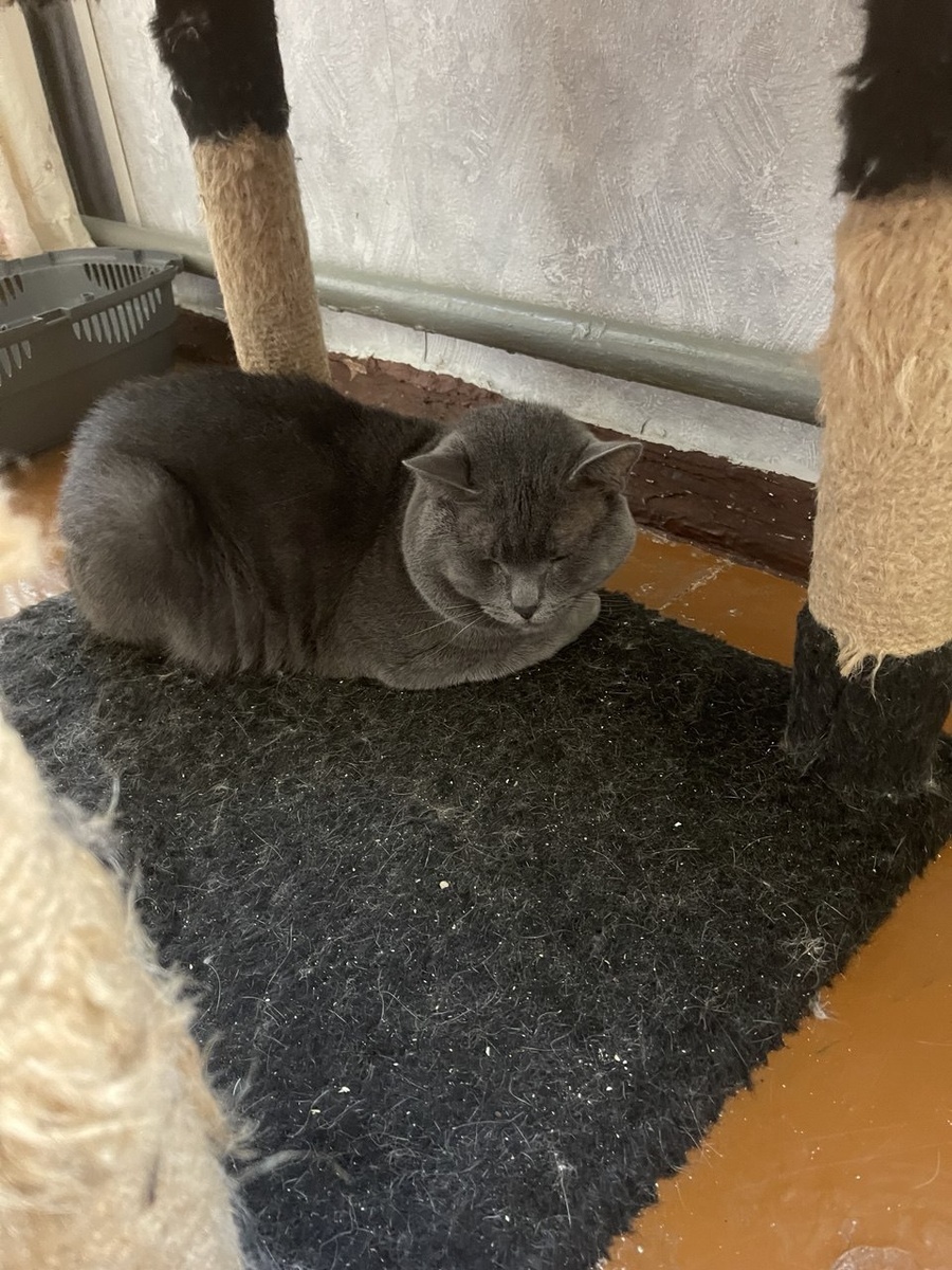 Вы будьте начеку, а я подремлю пока