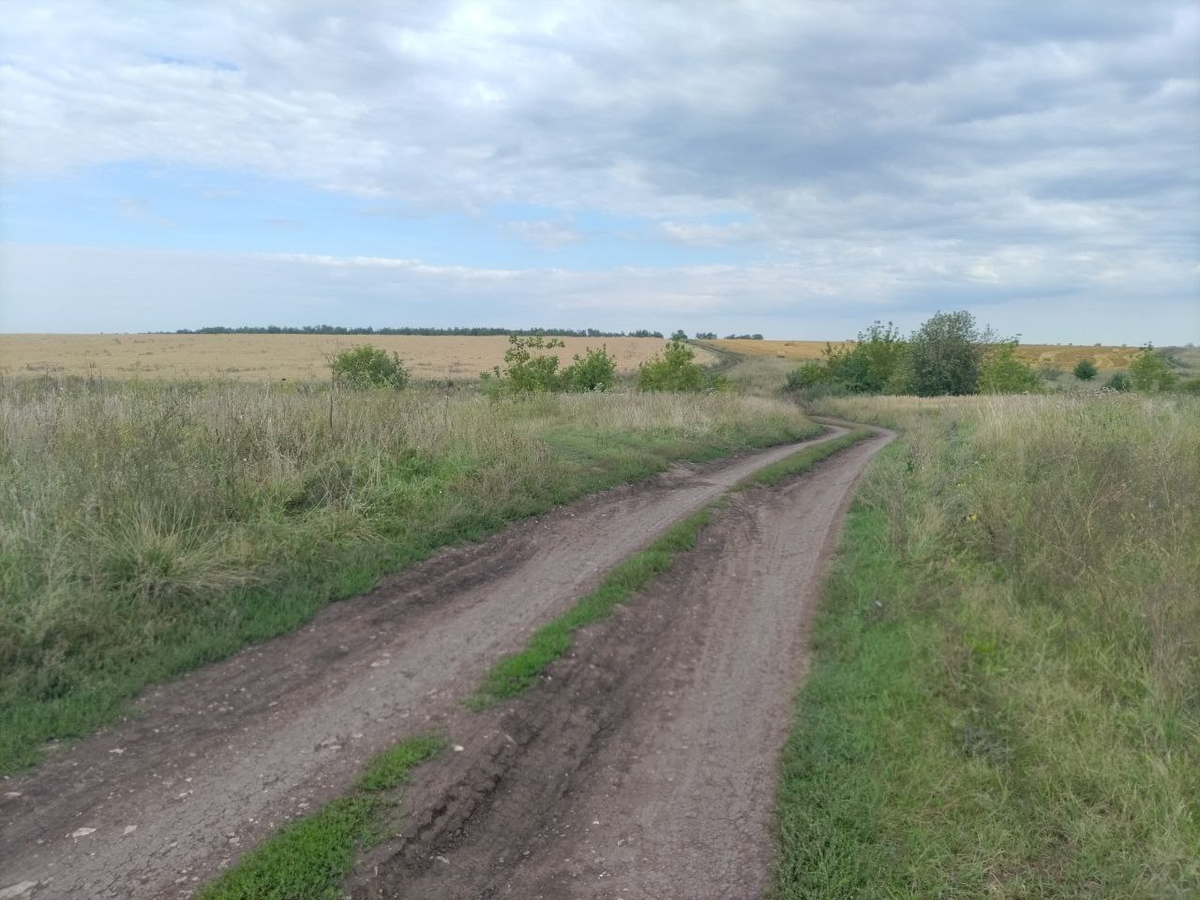 Фото автора.