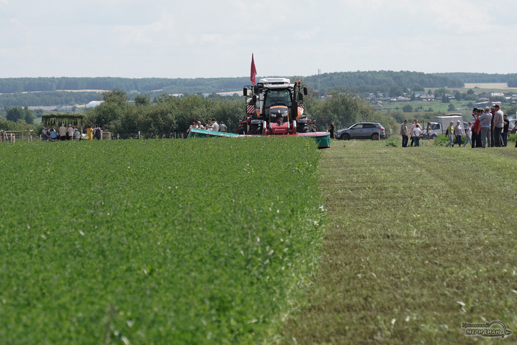    Фото: Лидия Аникина © ИА «Уральский меридиан»