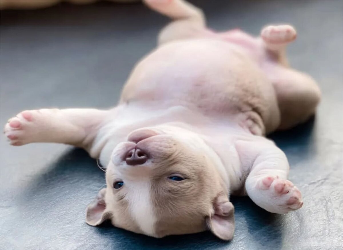 Источник: discvr.blog