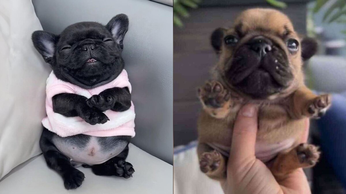 Источник: knowyourmeme