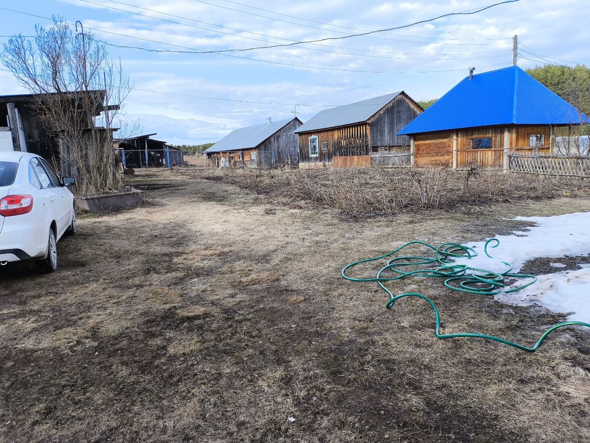 Все это предстояло вычистить от сорняков с корнями 