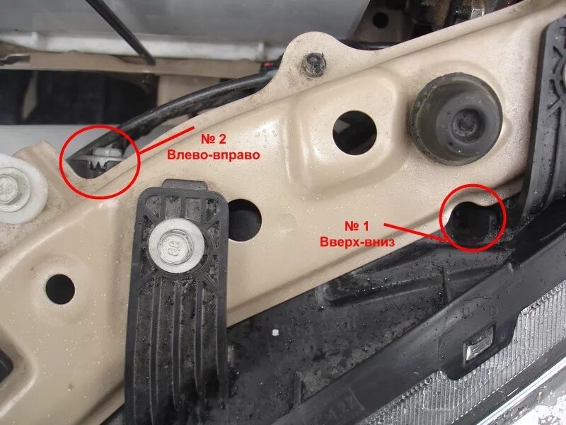 Фото из открытых источников 