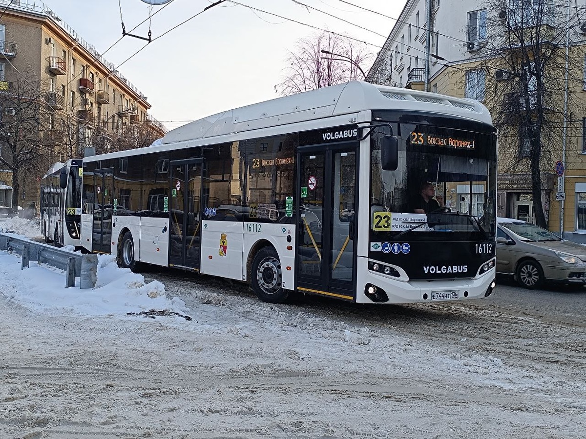 Новенькие волгобасики☺️