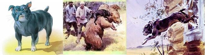 Иллюстрации к рассказу в свободном доступе