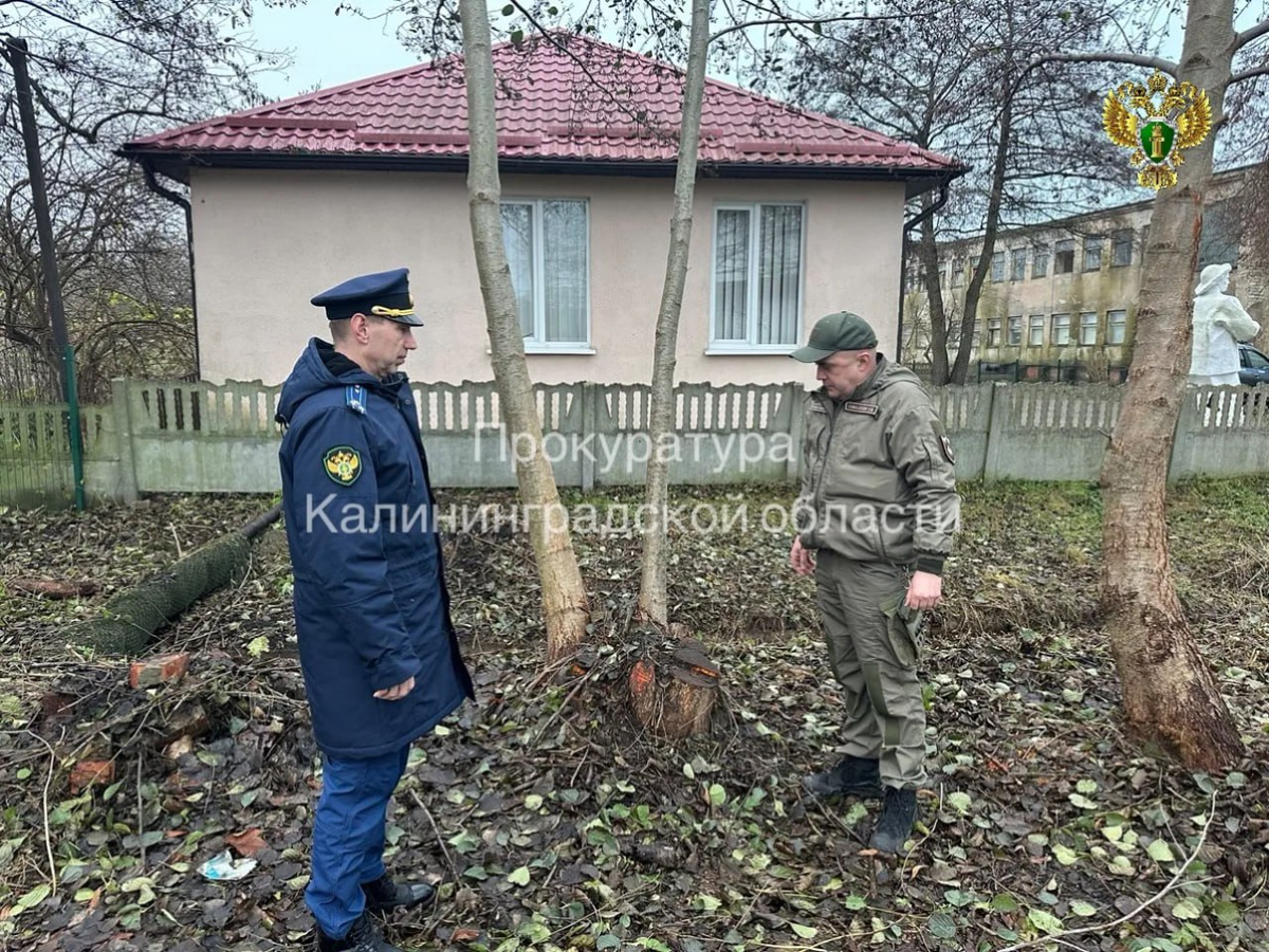 Фото прокуратуры КО