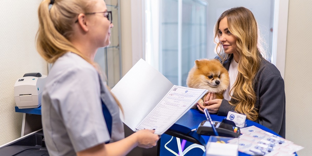 Офф-лейбл в ветеринарии: почему Россия отстает от ЕС?