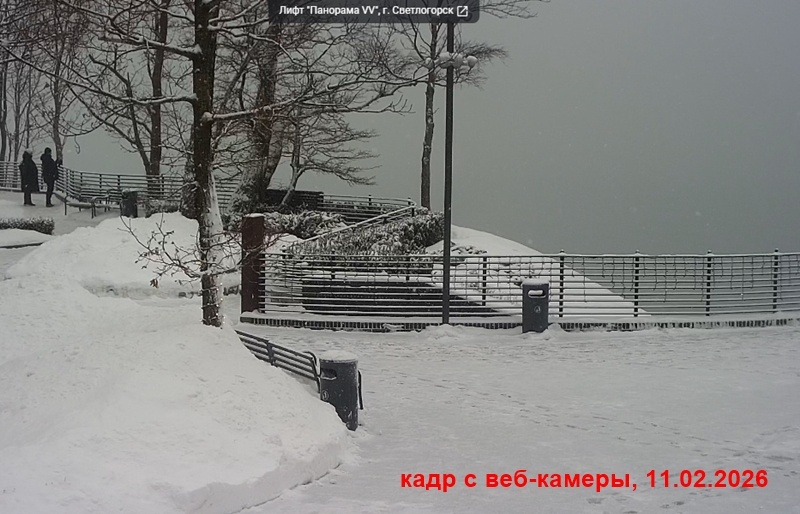 Светлогорск курортный для туристов и отдыхающих, февраль 2026г.