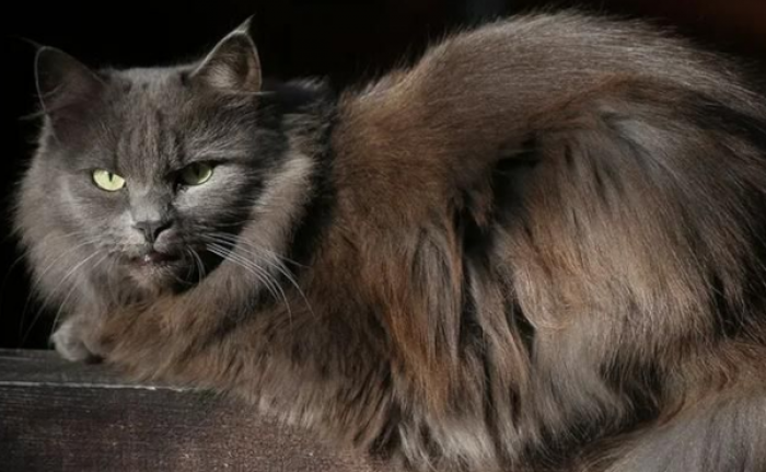    Фото: сайт мэра Москвы