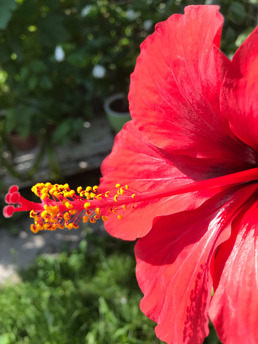 На лето я их выношу на свежий воздух