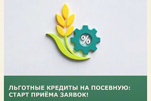 /  ФОТО donland.ru Администратор  📷
