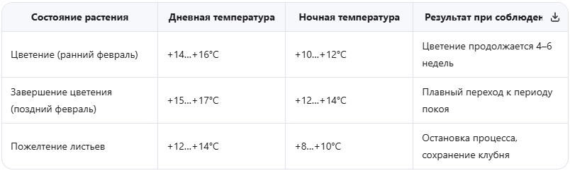 Оптимальный температурный режим для цикламена в феврале