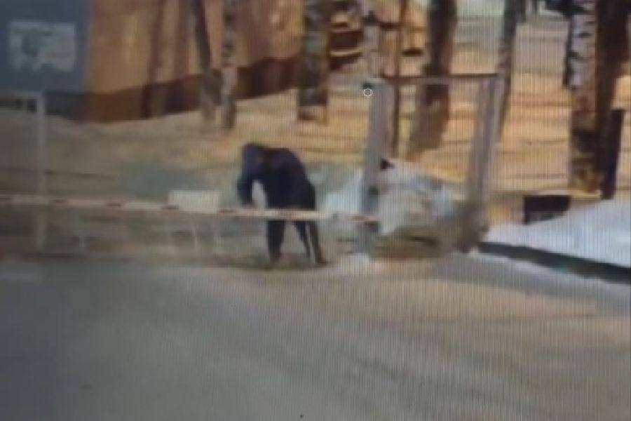 Фото: пресс-служба ГУ Росгвардии по Санкт-Петербургу и Ленинградской области