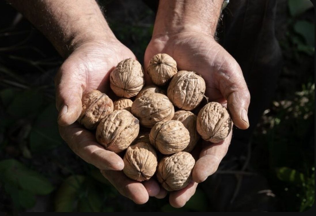 Фото: сайт freepik / нейросеть reve