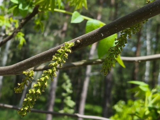 Фото: страница VK Юрия Крутикова