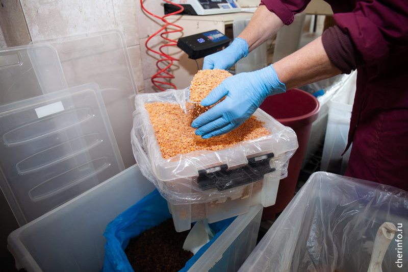    Компоты в пакетиках начал выпускать торговый дом "Русский чай" на Белинского.