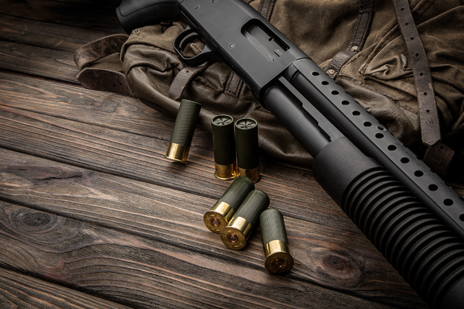    Shutterstock/FOTODOM