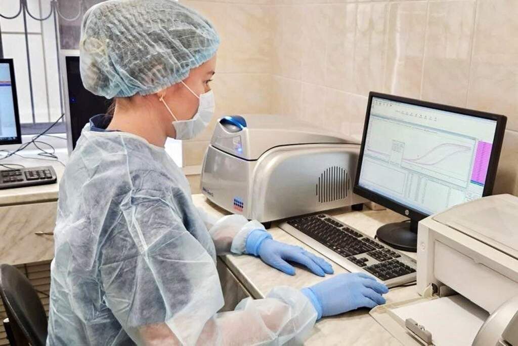    Фото сайта правительства РО Валерия Стальная