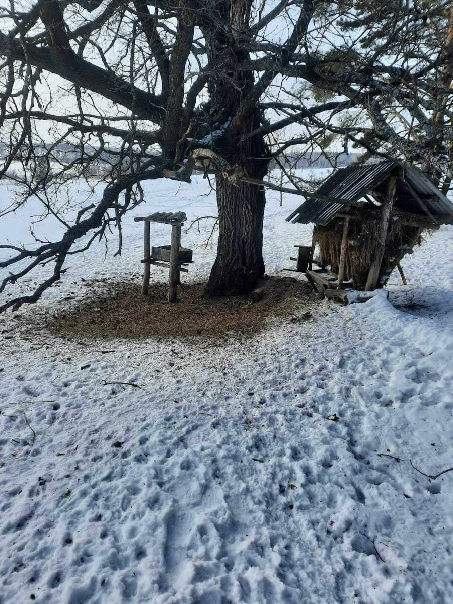 Фото: пресс-служба Госкомитета РТ по биоресурсам