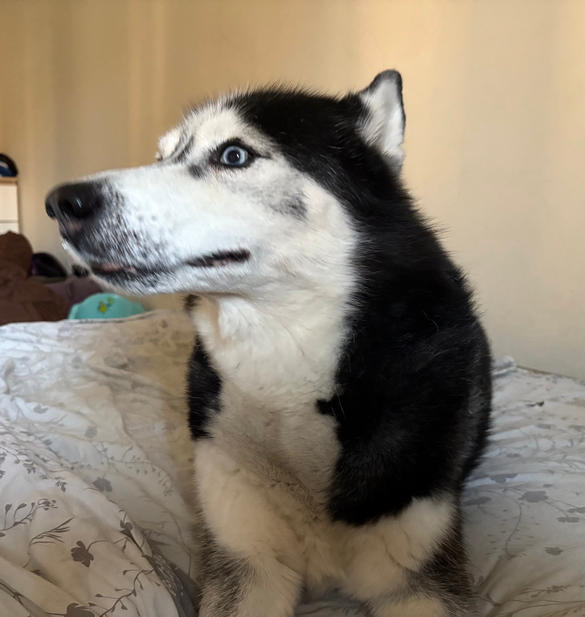 Дин. Недавняя фотка