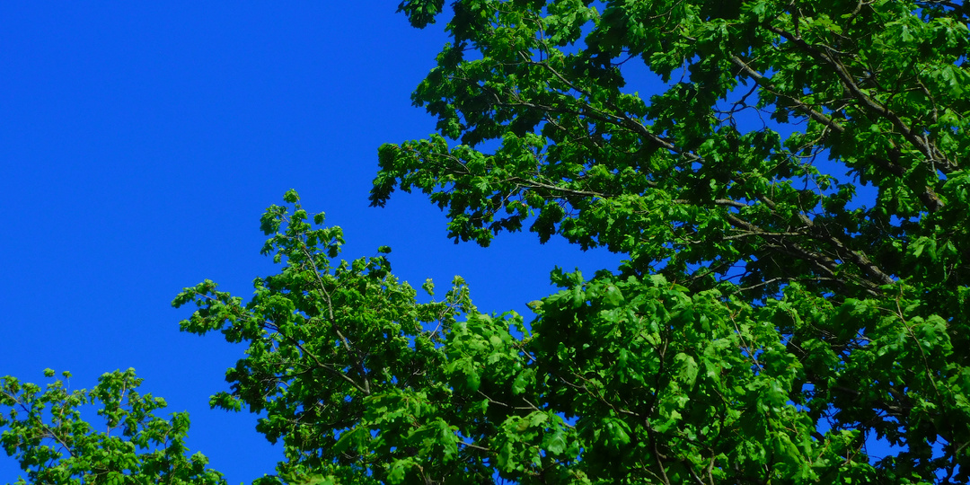 Родные околицы (часть 25)