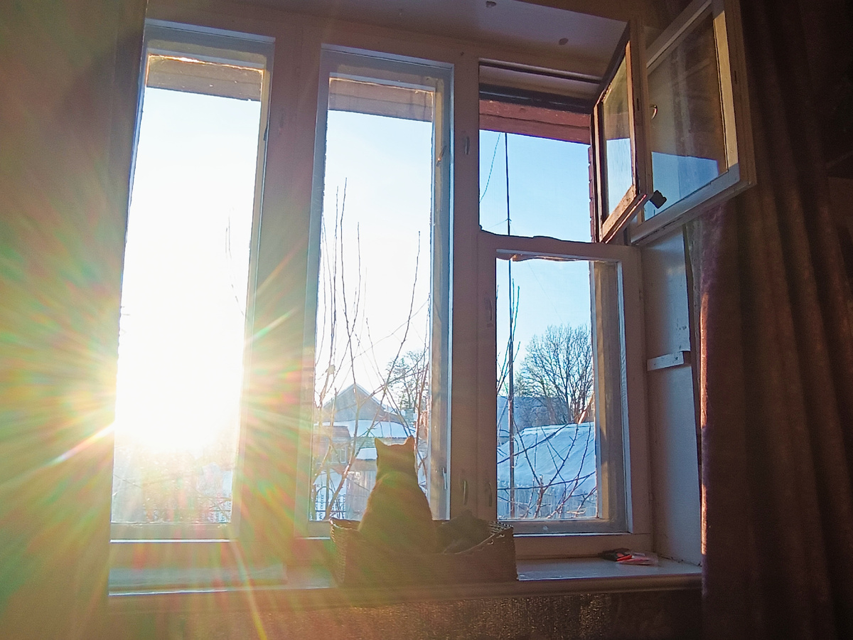 Кошка на окошке