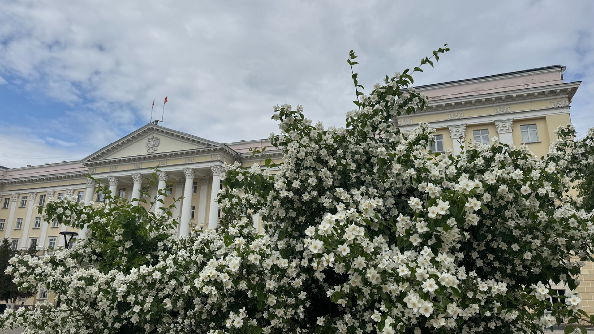 Фото автора публикации 