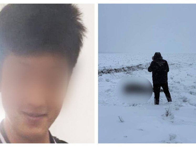     Фото: СК региона; "Лиза Алерт"