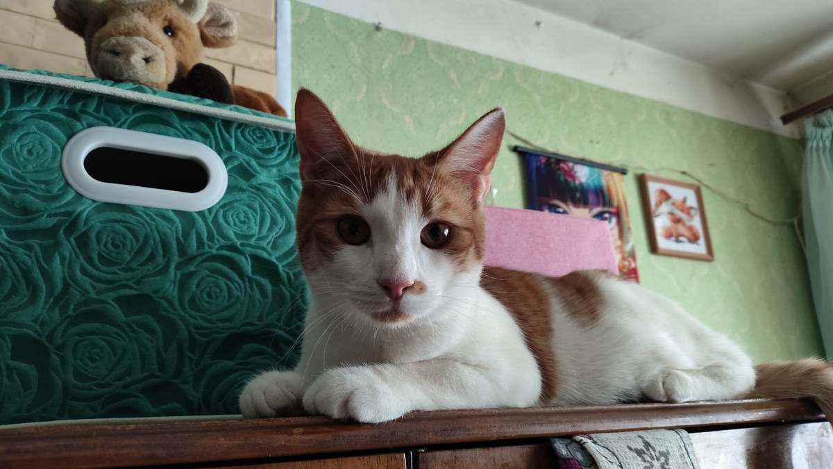 фото автора