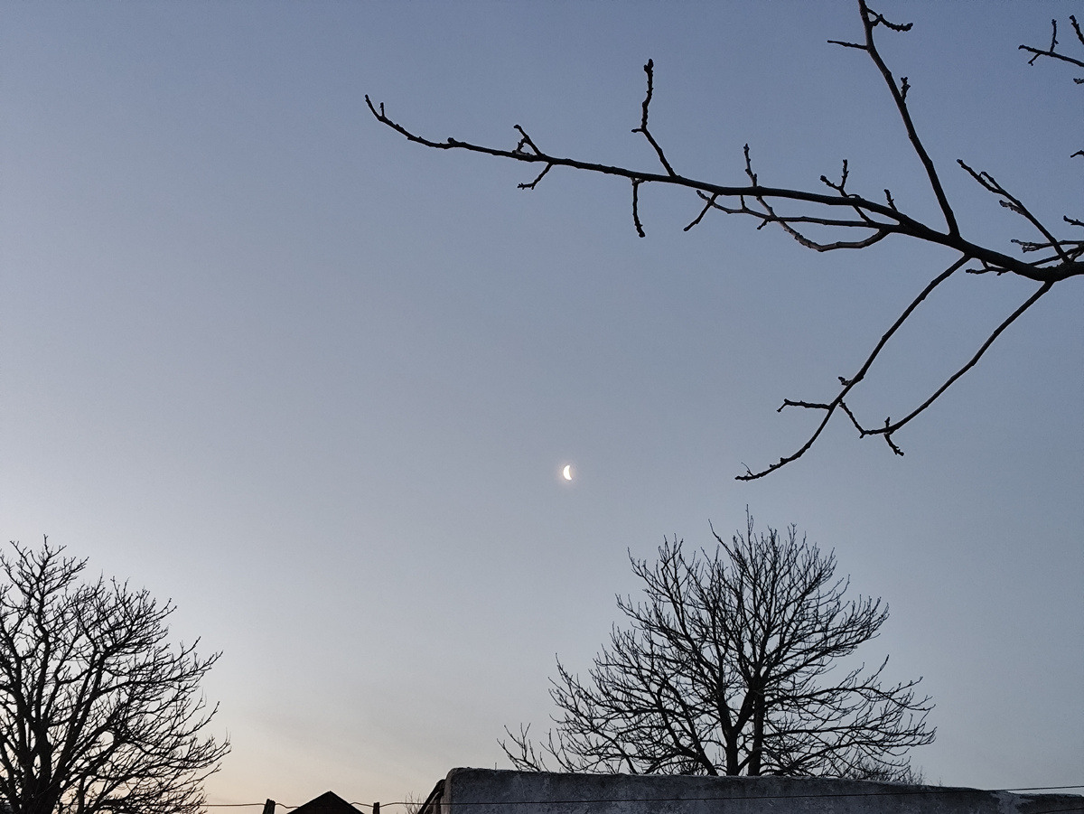 Луна в зените. А на востоке только розовеет восход...